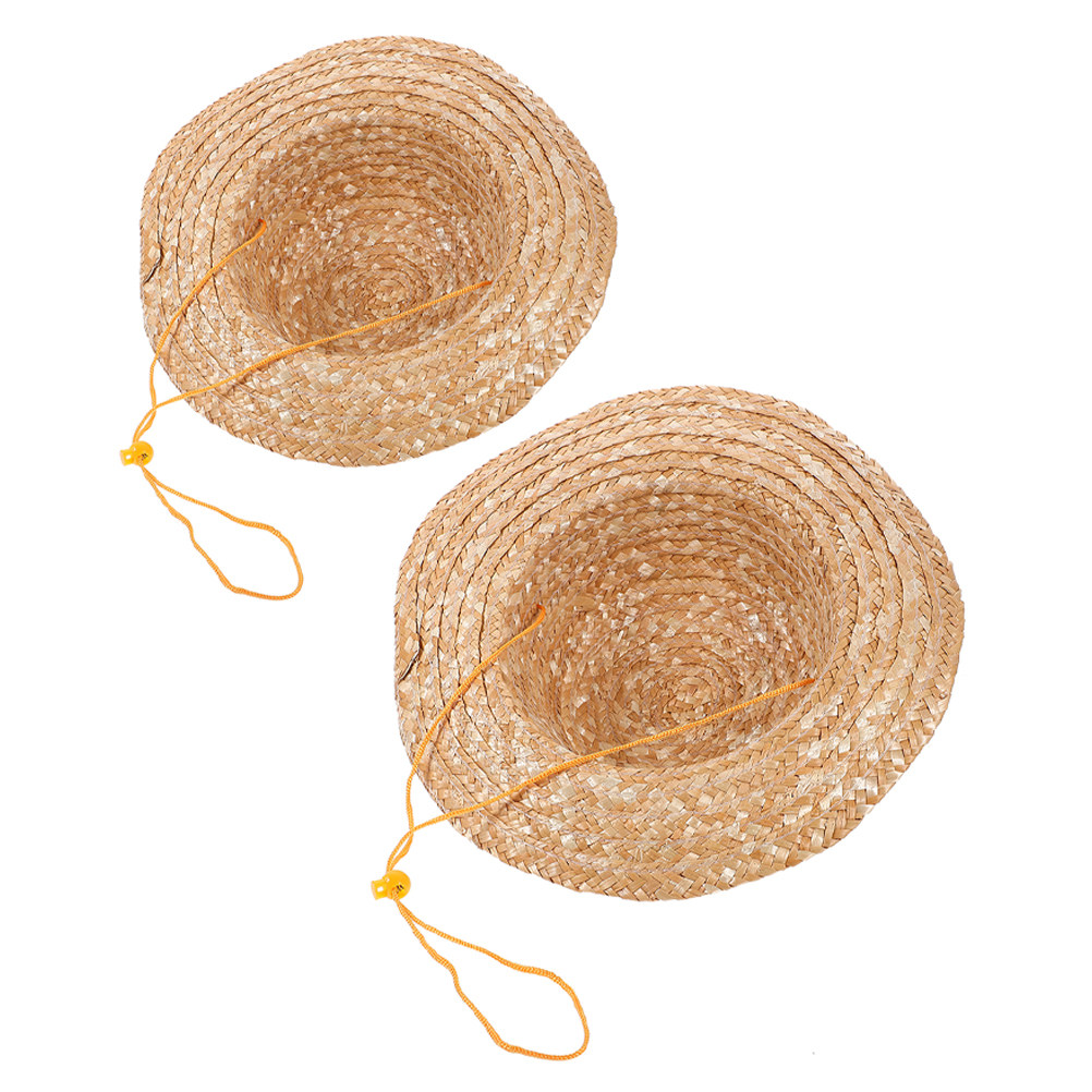 2枚セットの子供用日よけ帽子。天然素材のストローを使用し、つ - Sun Hat Wide Brim のレビューと価格